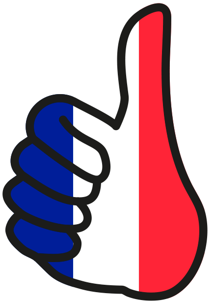 logonamikoshi_france