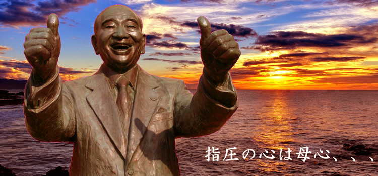 namikoshienelmar