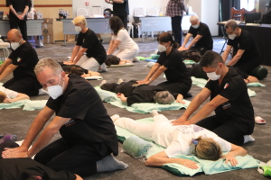 Namikoshi shiatsu europe 2021